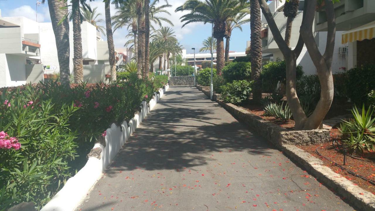 Residencial Primavera Costa Del Silencio Dış mekan fotoğraf