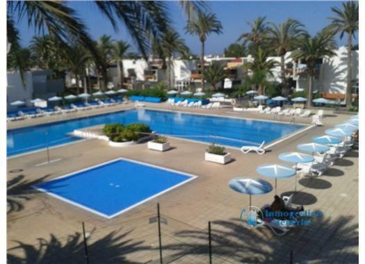 Residencial Primavera Costa Del Silencio Dış mekan fotoğraf